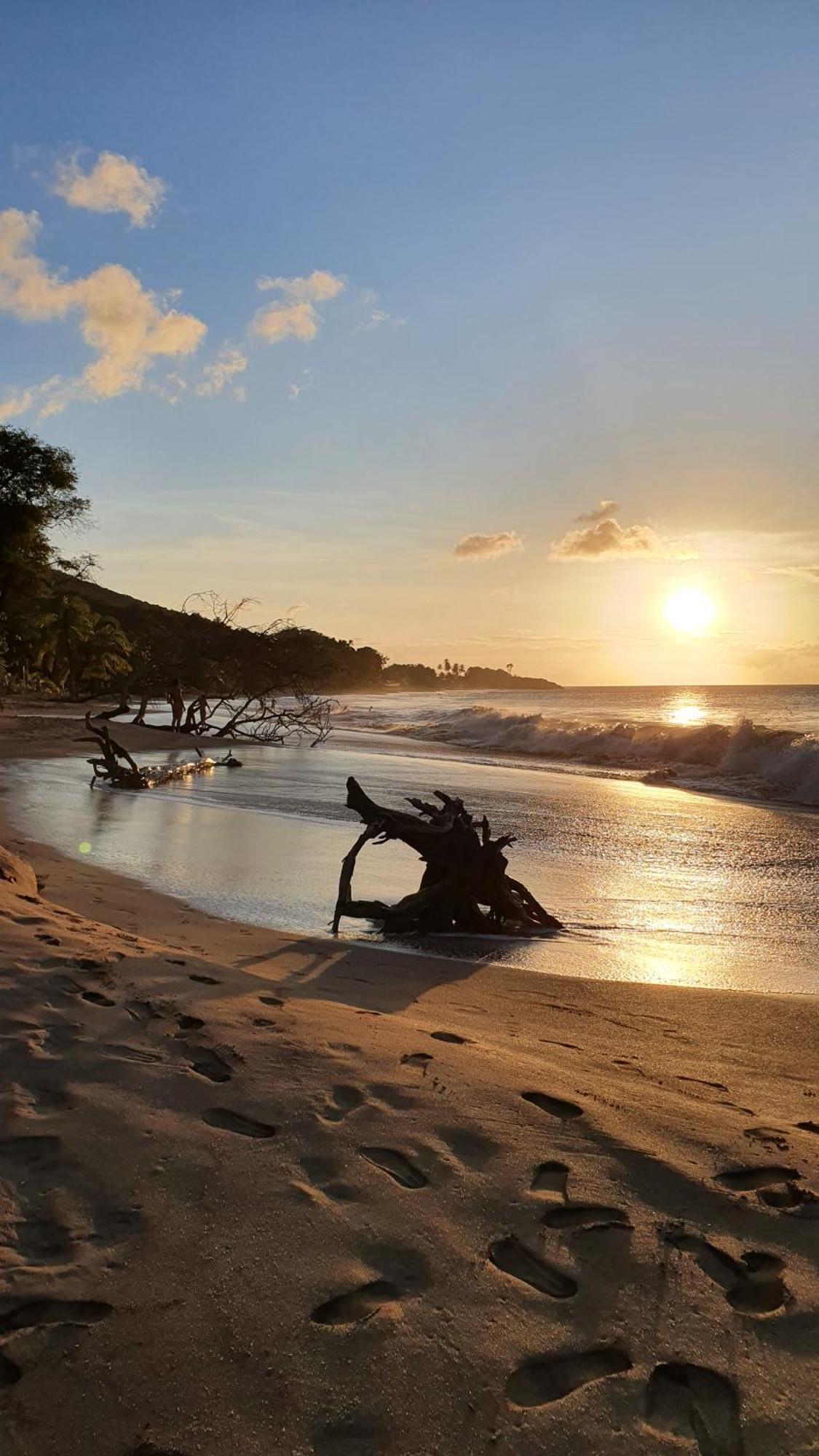A Deux Pas De La Plage, La Perle! Vue Panoramique Villa Deshaies Exterior foto